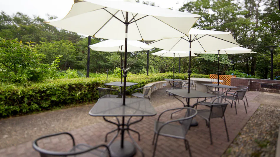 Pet-Friendly Accommodation CARO FORESTA Nasu Kogen VOLPE