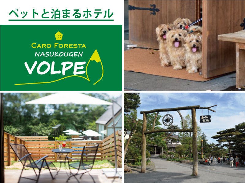 ペットと泊まる宿　CARO FORESTA 那須高原VOLPE&nbsp;施設全景