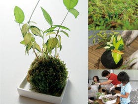 塩江温泉郷 しおのえホテルセカンドステージ