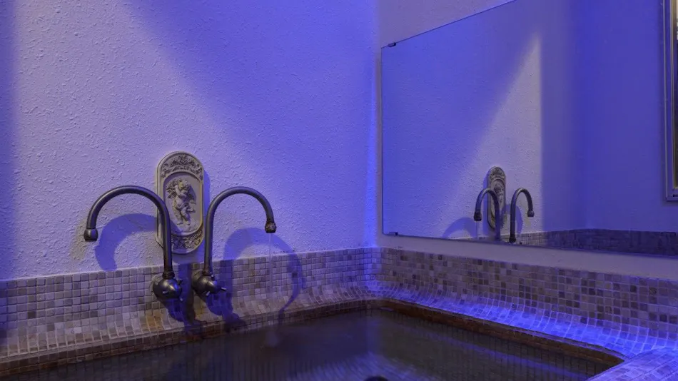Inn of the Sea, Spa, and Beautiful Skin Bath: Angel Dolphin!