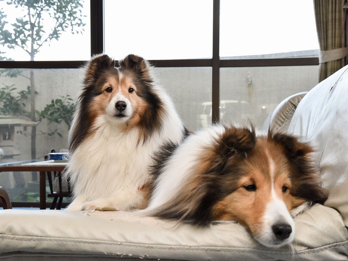 まつしん の宿泊プラン 予約 Yahoo トラベル