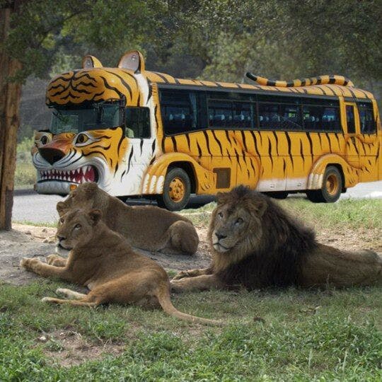 ニューサンピア姫路ゆめさき 宿泊予約なら Yahoo トラベル