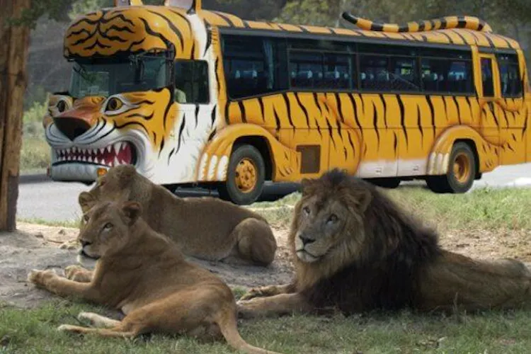 ニューサンピア姫路ゆめさき 宿泊予約なら Yahoo トラベル ニューサンピア姫路ゆめさき 宿泊予約なら Yahoo トラベル