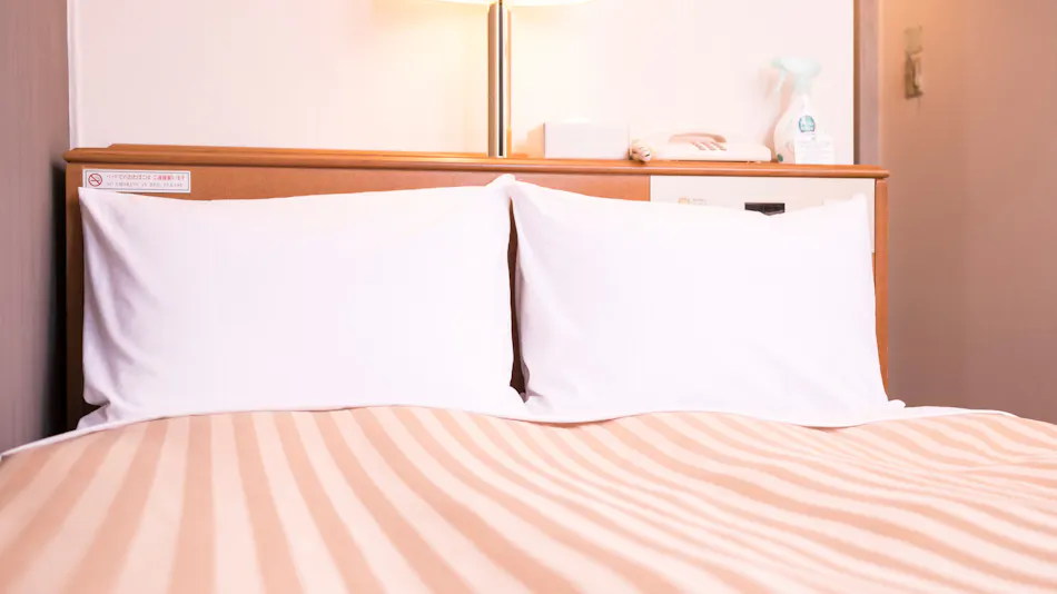 Hashimoto Park Hotel