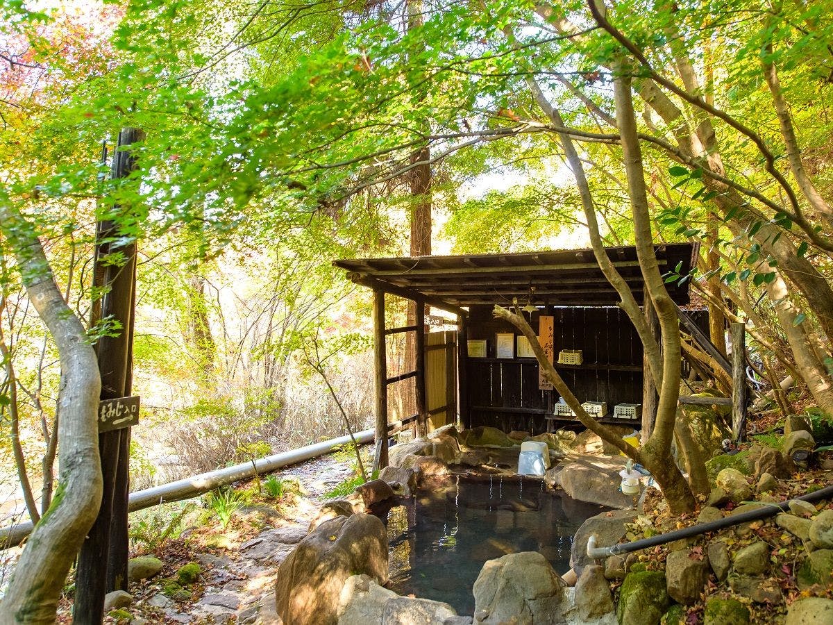 Kokonoe Iyashi no Sato Hotel Dai Kogen