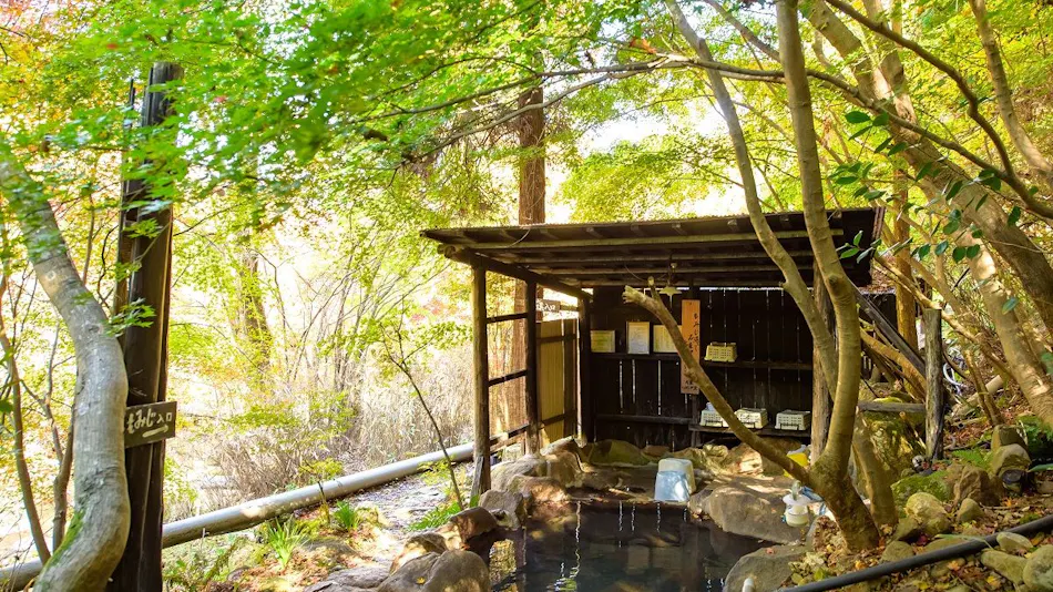 Kokonoe Iyashi no Sato Hotel Dai Kogen