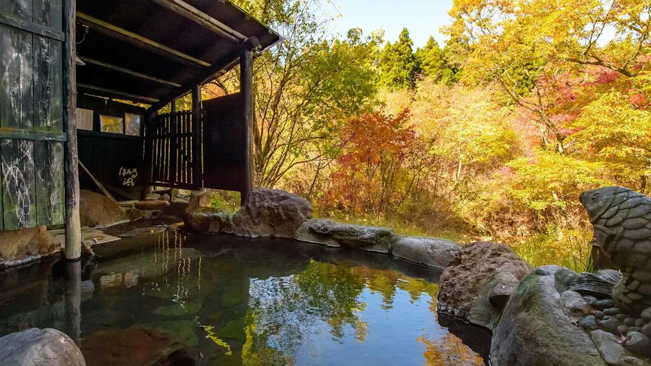 Kokonoe Iyashi no Sato Hotel Dai Kogen