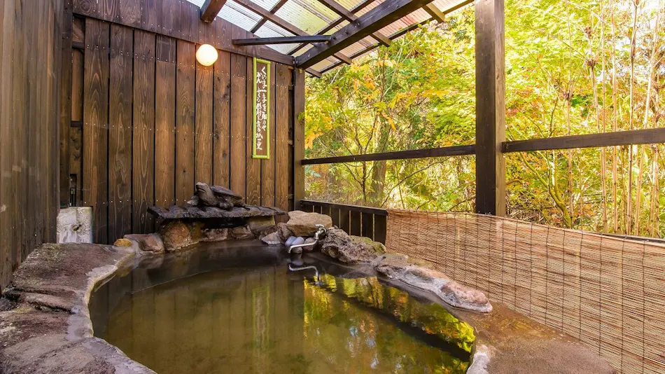 Kokonoe Iyashi no Sato Hotel Dai Kogen