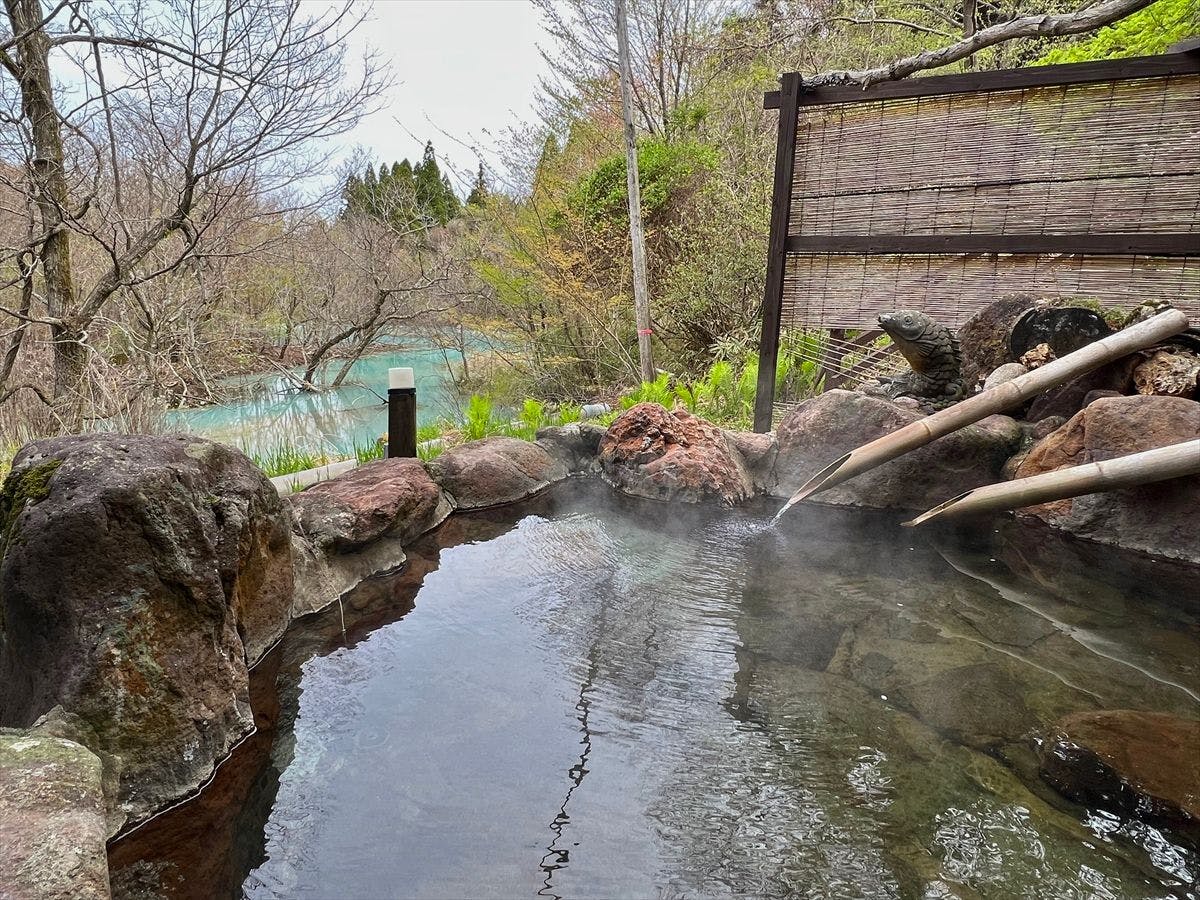 Kokonoe Iyashi no Sato Hotel Dai Kogen
