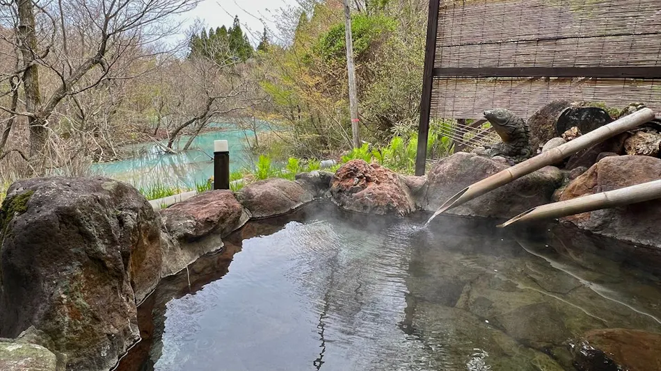 Kokonoe Iyashi no Sato Hotel Dai Kogen