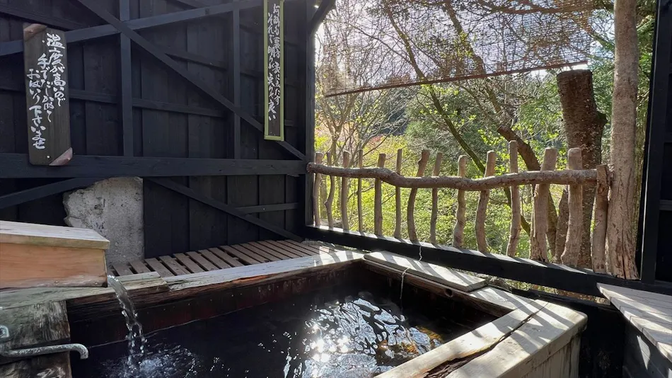 Kokonoe Iyashi no Sato Hotel Dai Kogen