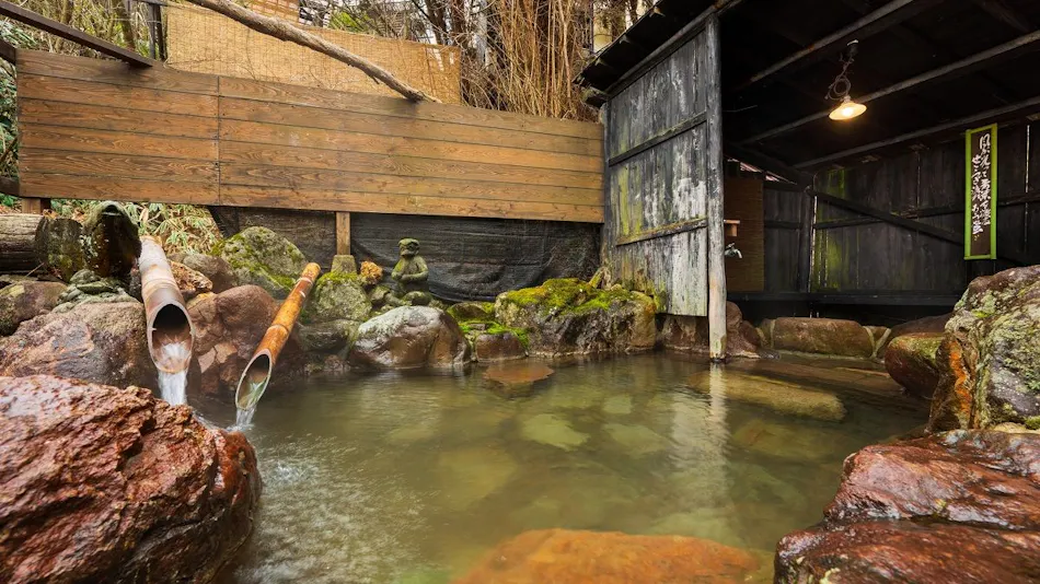 Kokonoe Iyashi no Sato Hotel Dai Kogen