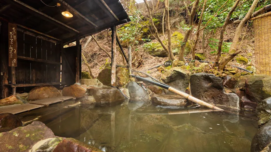 Kokonoe Iyashi no Sato Hotel Dai Kogen