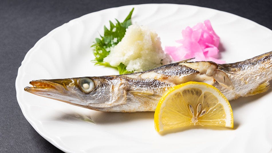 Pension SHIOSAI: Gourmet and Natural Hot Spring Inn