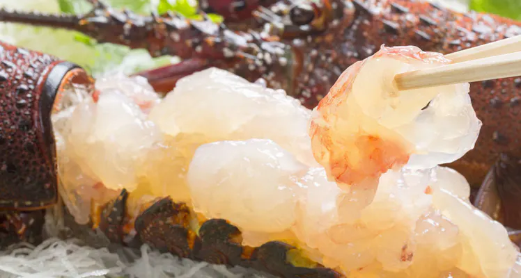 真鶴の友人同士におすすめのホテル 旅館 お得に宿泊予約 Yahoo トラベル 真鶴の友人同士におすすめのホテル 旅館 お得に宿泊予約 Yahoo トラベル