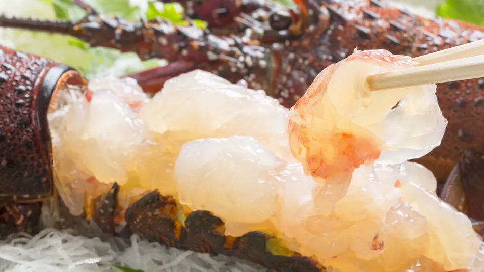 Pension SHIOSAI: Gourmet and Natural Hot Spring Inn