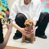拍攝棚