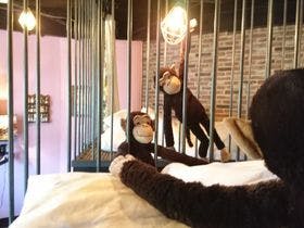 宿ｙａ－ｌｏｄｇｅ