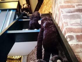 宿ｙａ－ｌｏｄｇｅ