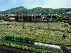 宿ｙａ－ｌｏｄｇｅ