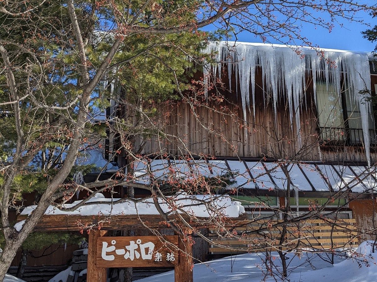 รู้สึกถึงการมาถึงของฤดูใบไม้ผลิหลังจากฤดูหนาวอันยาวนาน.