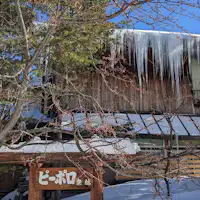 รู้สึกถึงการมาถึงของฤดูใบไม้ผลิหลังจากฤดูหนาวอันยาวนาน.