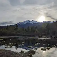 ดอกไม้บัวน้ำที่บ่อน้ำโดโจ เขตอิจิโนเสะ