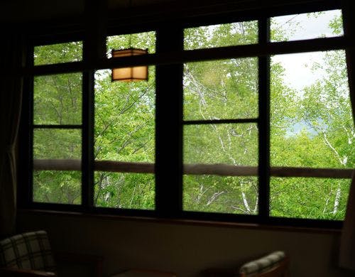 新館和室から望む窓の景色