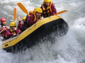 グレーシィトマム