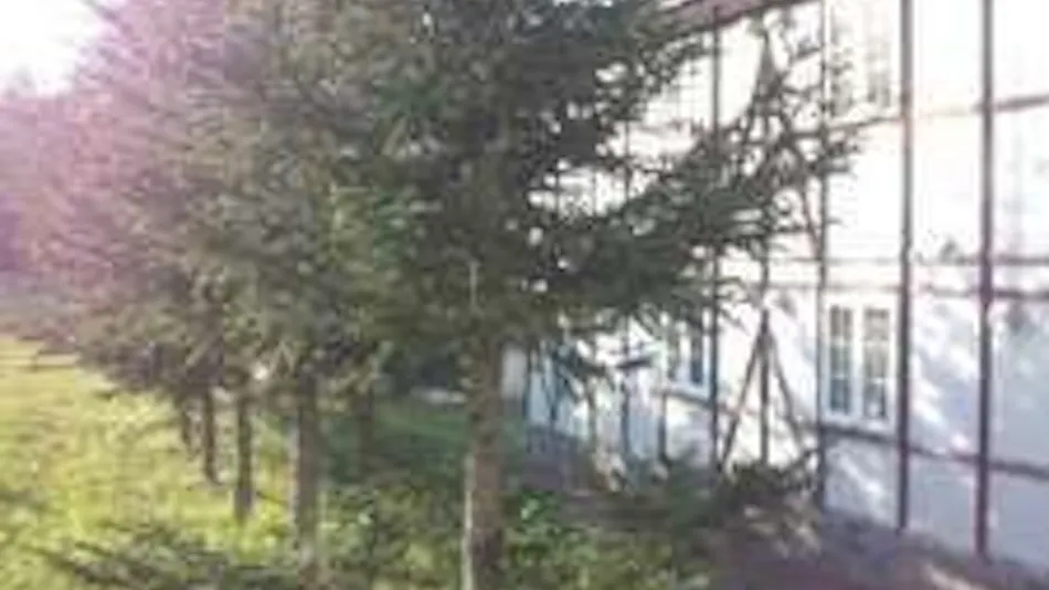 Petit Hotel Gracey Tomamu