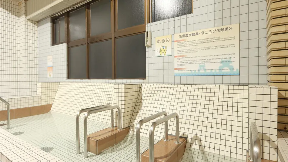 Tsuji Wakuwaku Land Minshuku Chaya