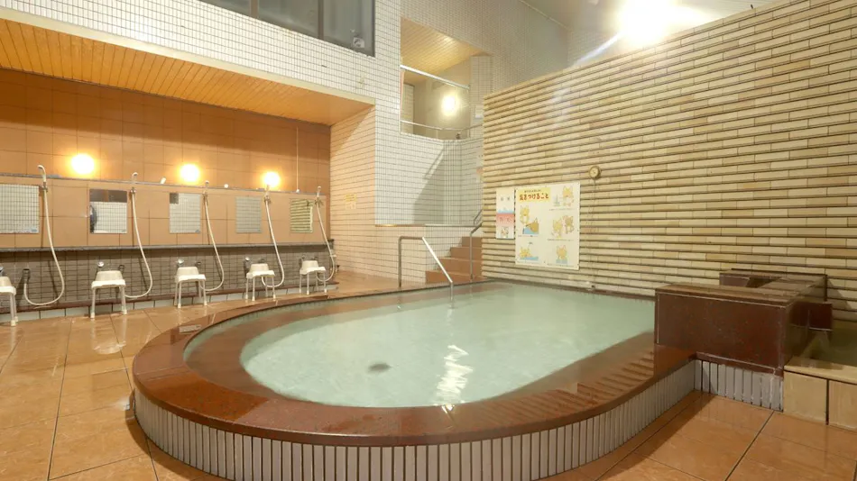 Tsuji Wakuwaku Land Minshuku Chaya