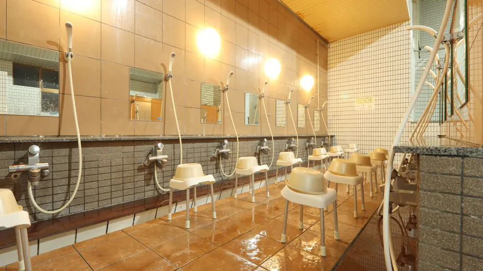 Tsuji Wakuwaku Land Minshuku Chaya