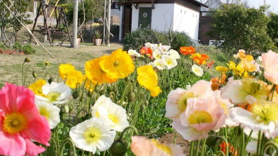 Hillside Inn Scirocco