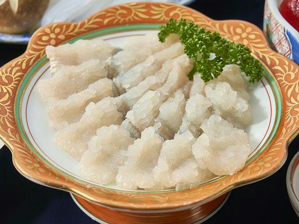 Kishu Onsen "Natural Red Shrimp Inn" Shinwaka Lodge