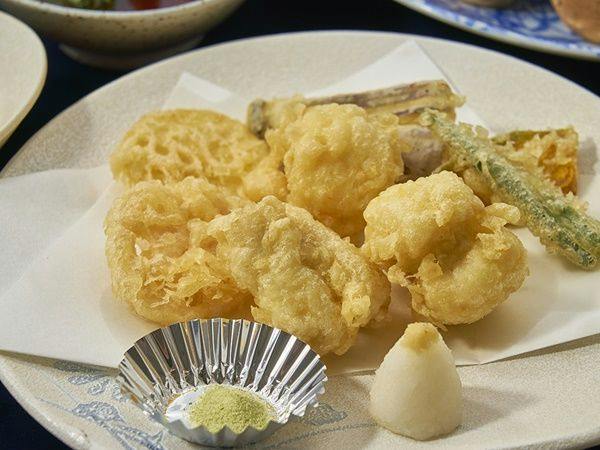 Kishu Onsen "Natural Red Shrimp Inn" Shinwaka Lodge