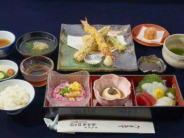 Kishu Onsen "Natural Red Shrimp Inn" Shinwaka Lodge
