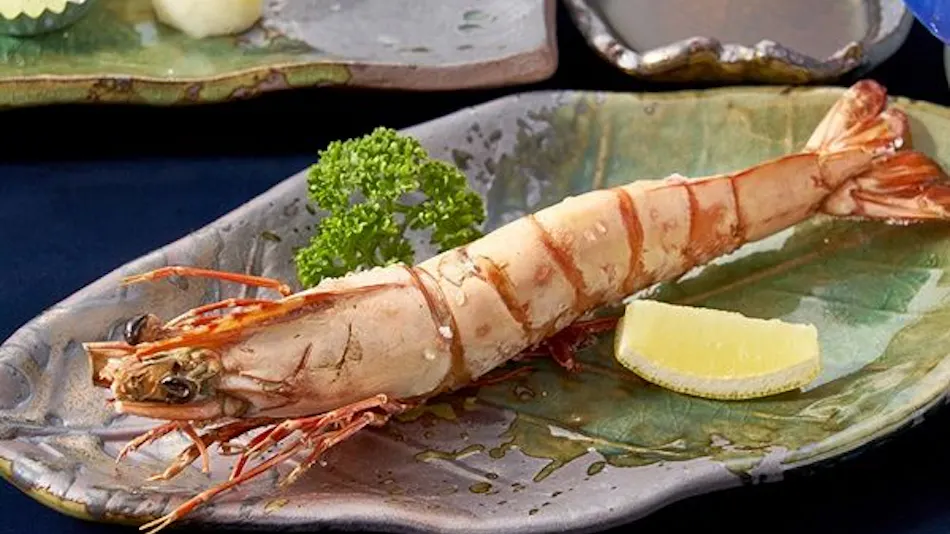Kishu Onsen "Natural Red Shrimp Inn" Shinwaka Lodge
