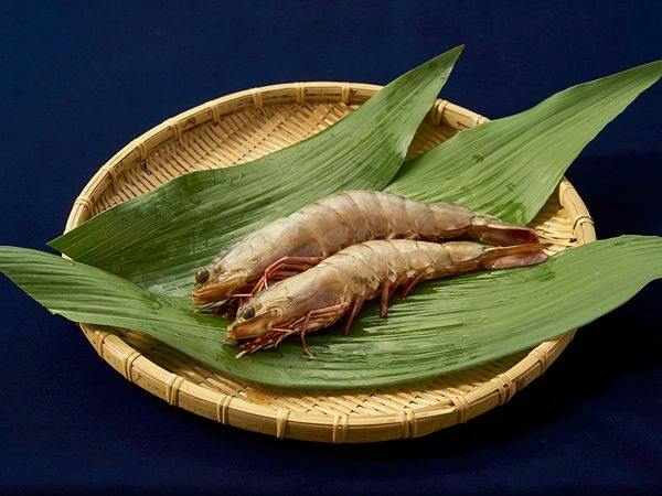Kishu Onsen "Natural Red Shrimp Inn" Shinwaka Lodge