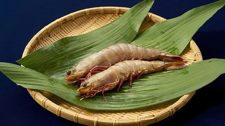 Kishu Onsen "Natural Red Shrimp Inn" Shinwaka Lodge