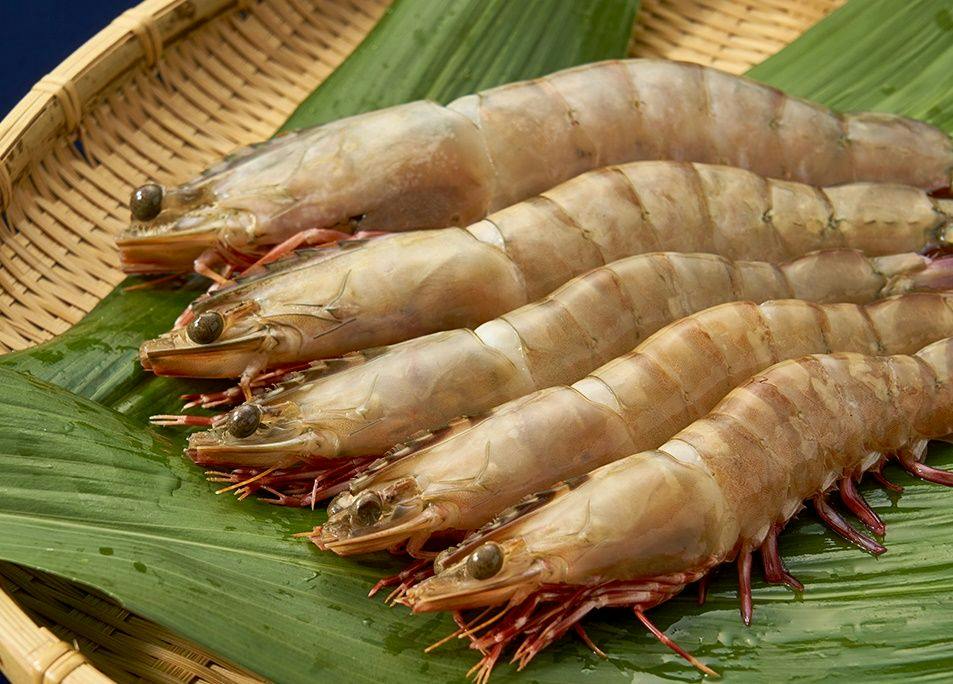 Kishu Onsen "Natural Red Shrimp Inn" Shinwaka Lodge