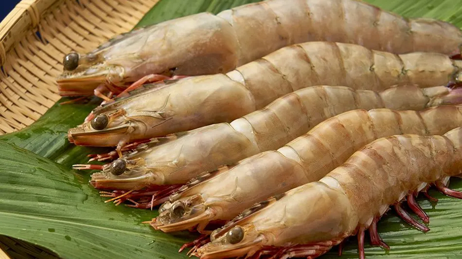 Kishu Onsen "Natural Red Shrimp Inn" Shinwaka Lodge