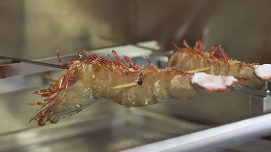 Kishu Onsen "Natural Red Shrimp Inn" Shinwaka Lodge