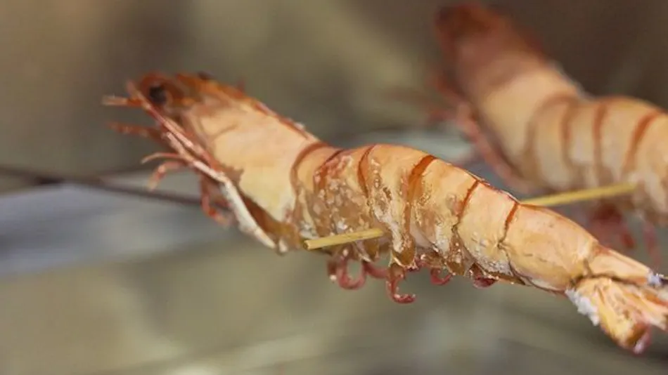 Kishu Onsen "Natural Red Shrimp Inn" Shinwaka Lodge