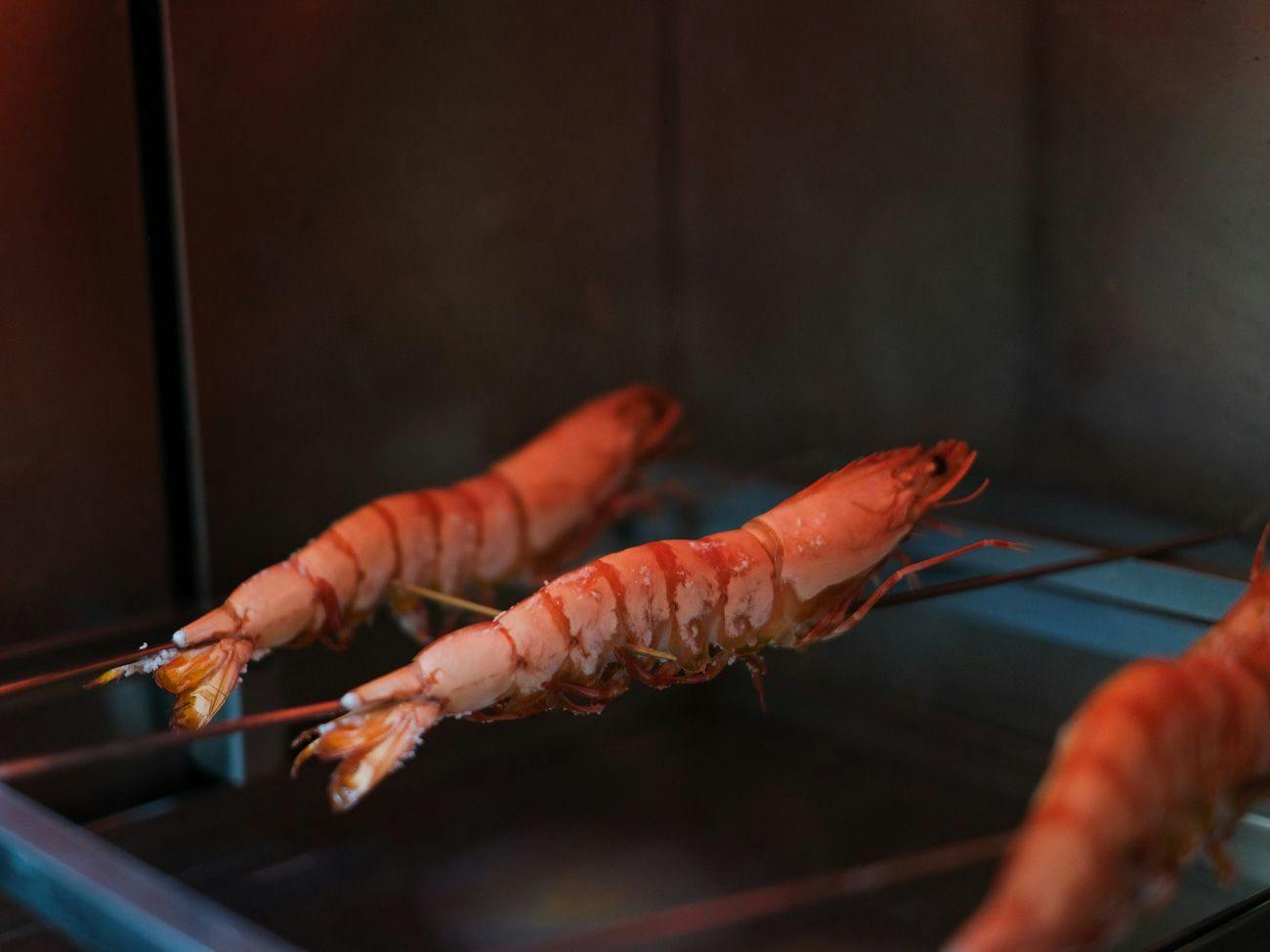 Kishu Onsen "Natural Red Shrimp Inn" Shinwaka Lodge