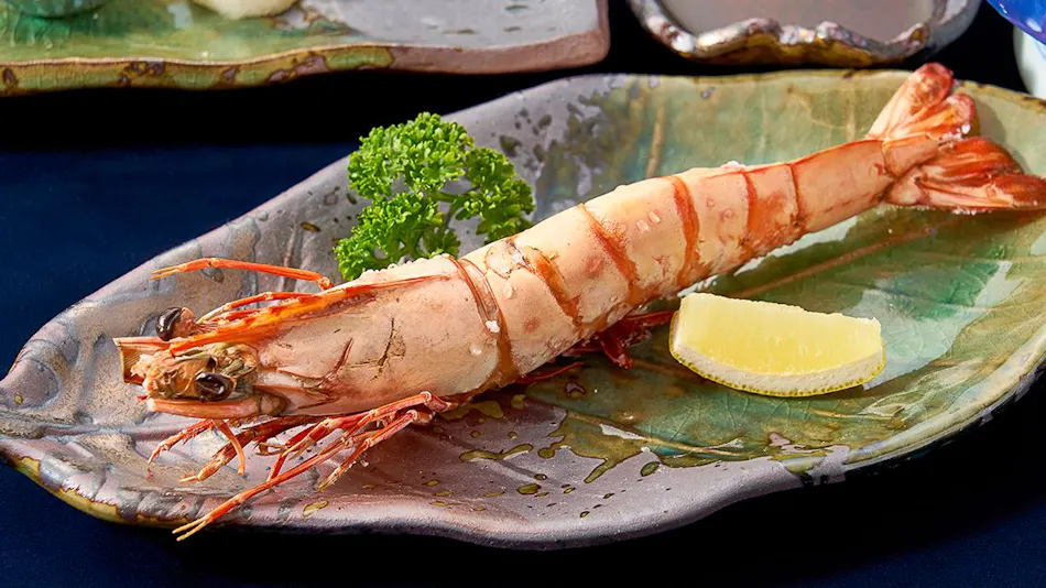 Kishu Onsen "Natural Red Shrimp Inn" Shinwaka Lodge