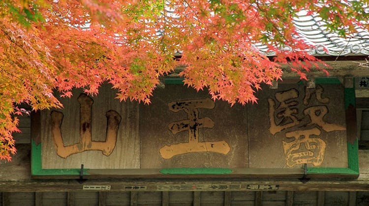 一畑山コテージ の宿泊プラン 予約 Yahoo トラベル 一畑山コテージ の宿泊プラン 予約 Yahoo トラベル