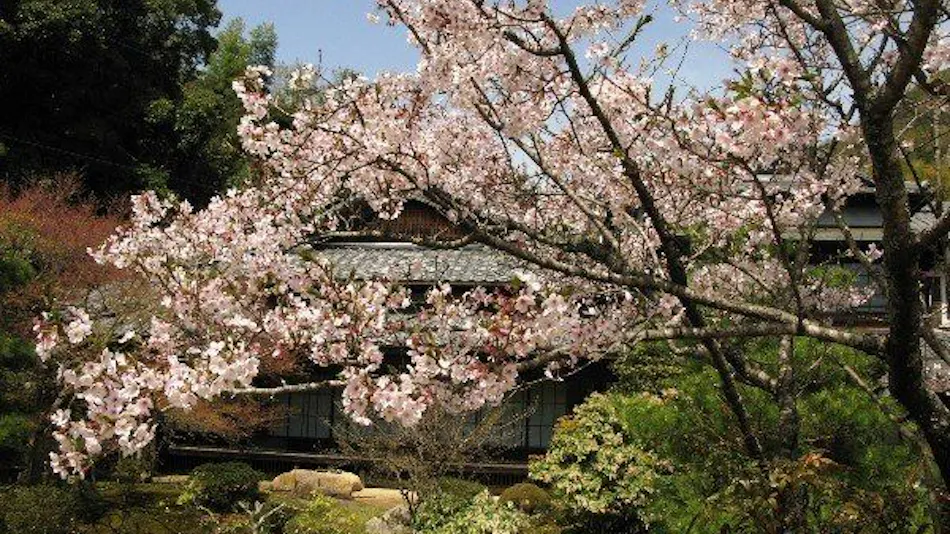 Sansuien