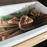 ปูมัตสึบะสด