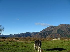 小さなホテル　スターティングオーバー